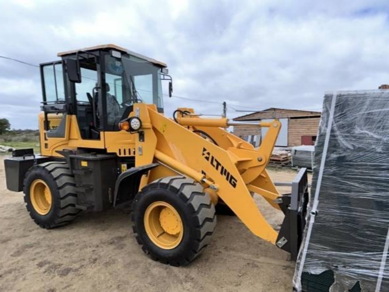ltmg loader